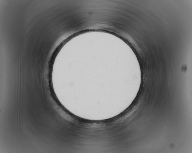 X0000101441122200808041208