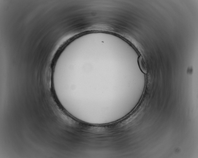 X0000101441123200808041208