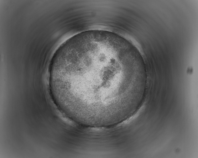 X0000101441125200808041208