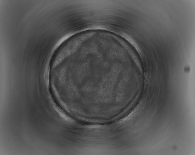 X0000101441127200808041208