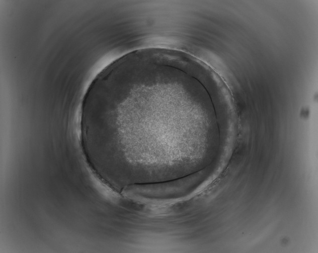 X0000101441128200808041208
