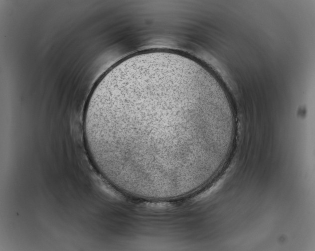 X0000101441129200808041208