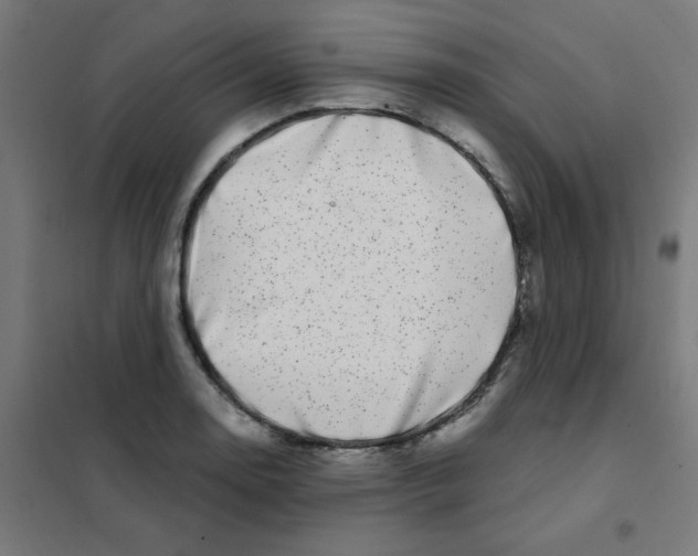 X0000101441130200808041208