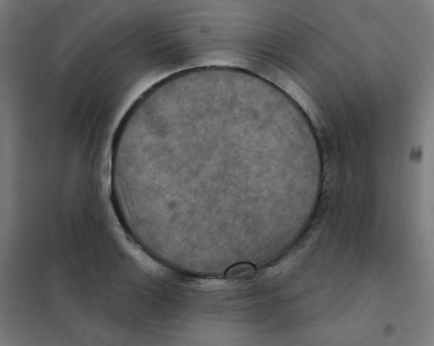 X0000101441132200808041208