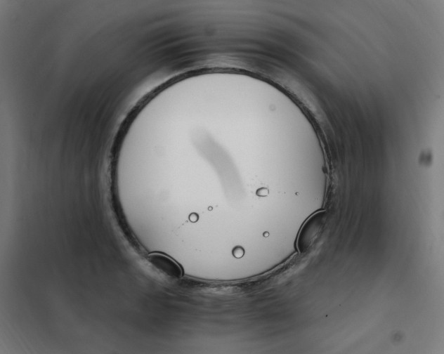 X0000101441133200808041208
