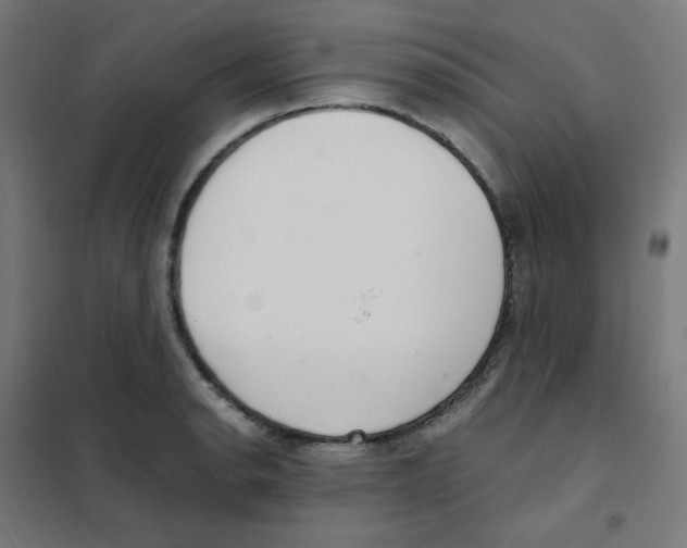 X0000101441134200808041208