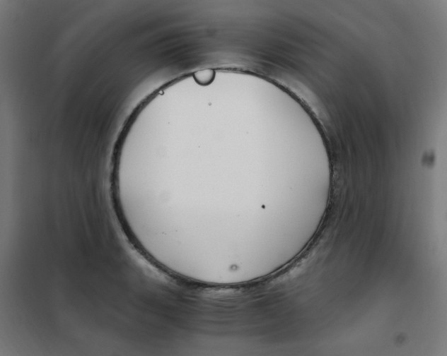 X0000101441135200808041208