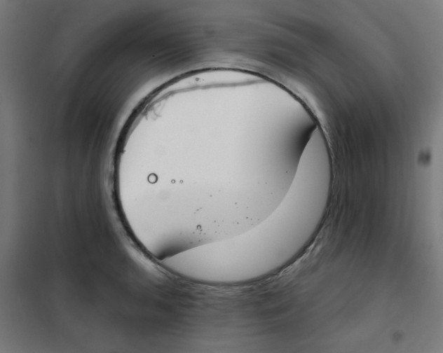X0000101441136200808041208