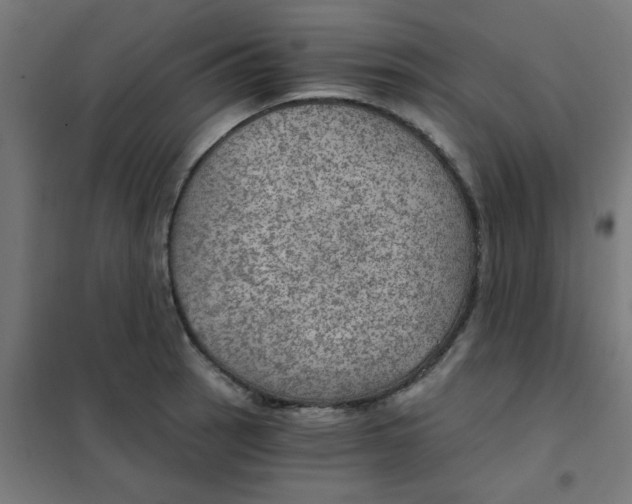 X0000101441137200808041208