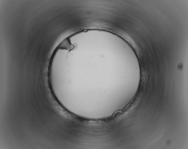 X0000101441138200808041208