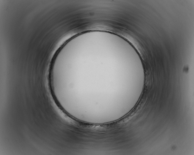 X0000101441139200808041208