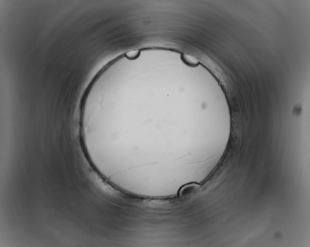 X0000101441140200808041208
