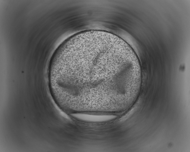 X0000101441141200808041208