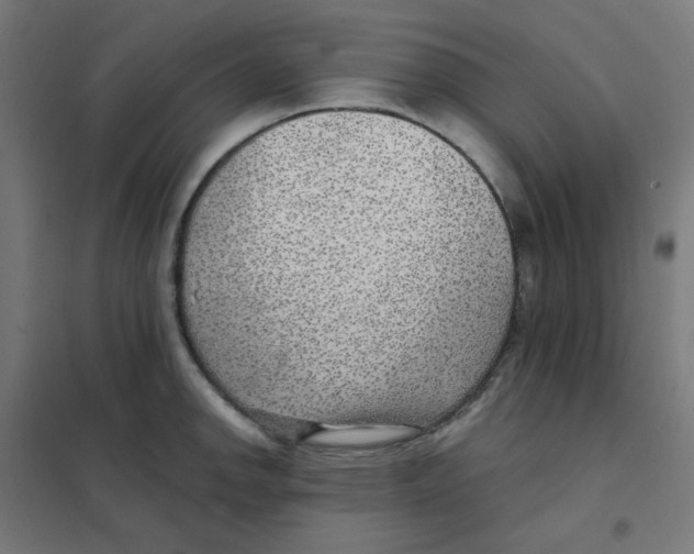 X0000101441142200808041208