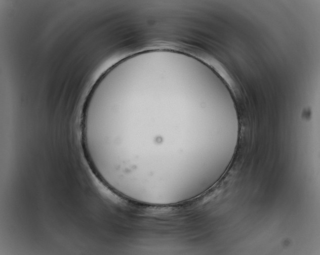 X0000101441143200808041208