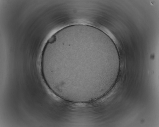 X0000101441144200808041208