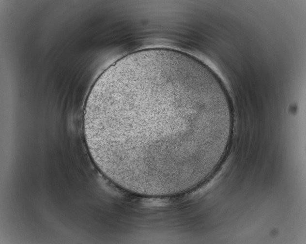 X0000101441145200808041209