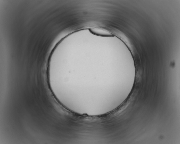 X0000101441146200808041209