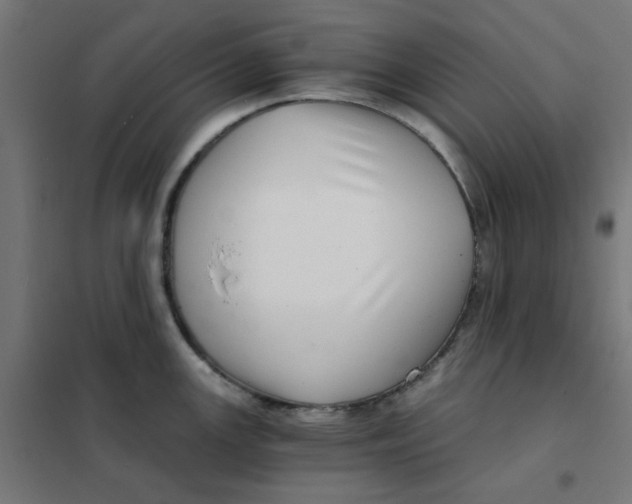 X0000101441147200808041209