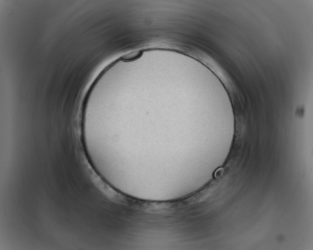 X0000101441148200808041209