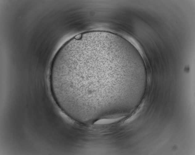 X0000101441149200808041209