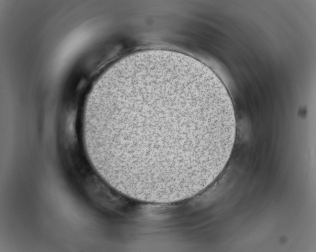 X0000101441150200808041209