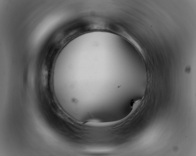 X0000101441151200808041209