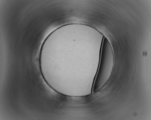 X0000101441152200808041209