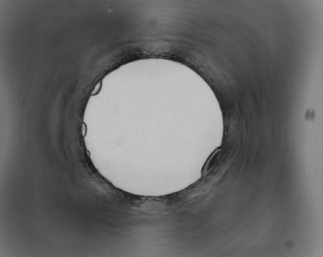 X0000101441153200808041208