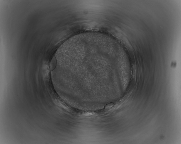 X0000101441154200808041208