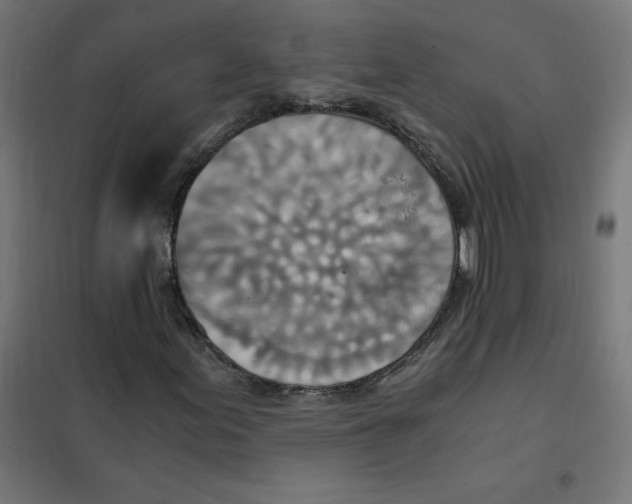 X0000101441155200808041208