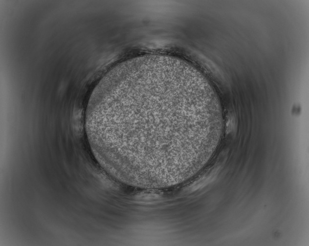 X0000101441156200808041208