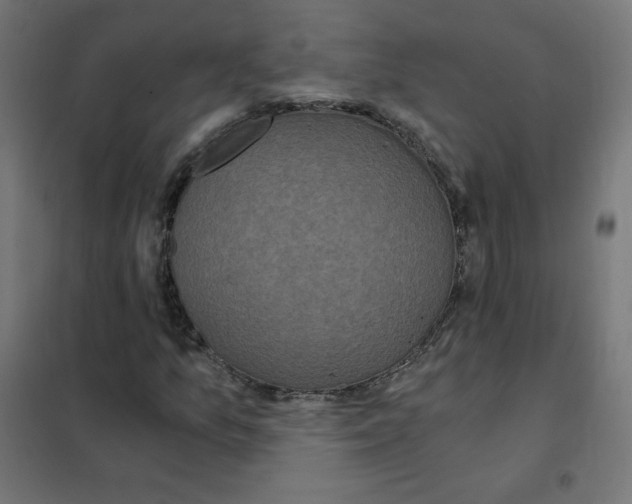 X0000101441157200808041208