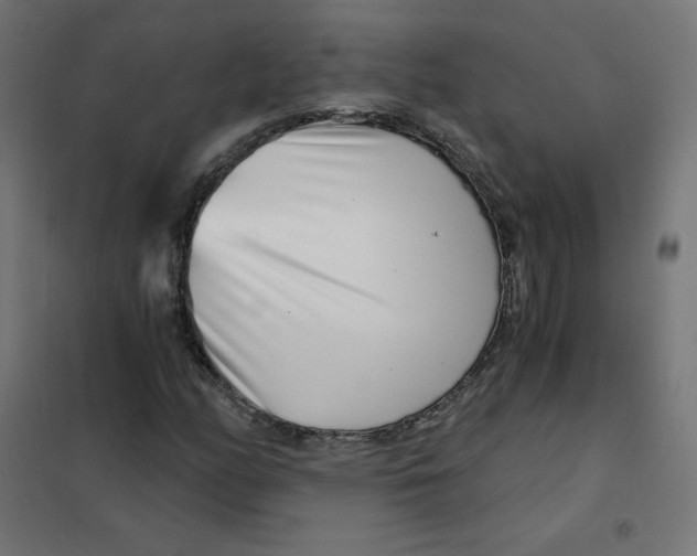 X0000101441158200808041208