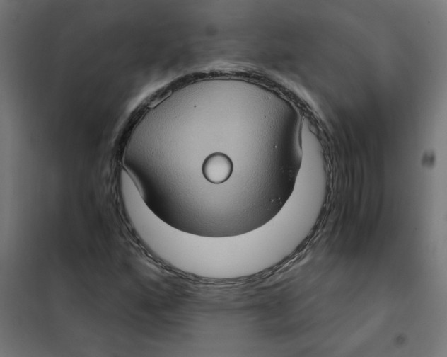 X0000101441160200808041208