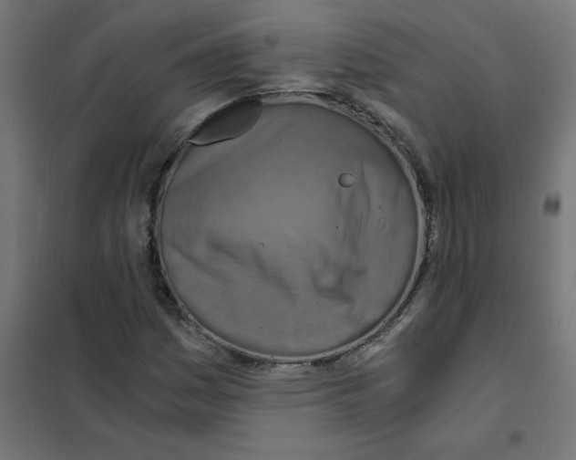 X0000101441161200808041208