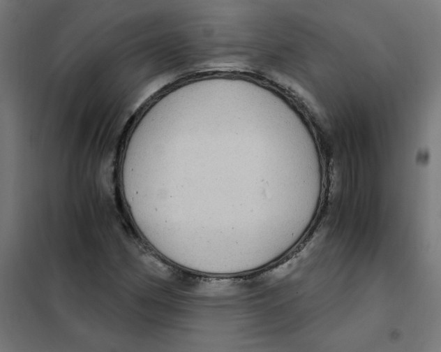 X0000101441162200808041208