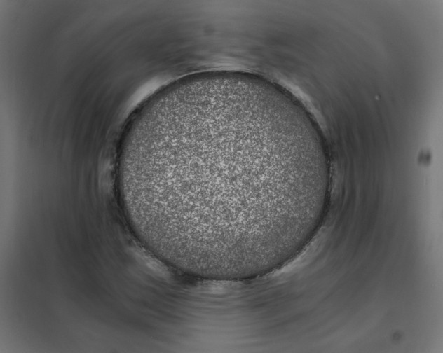 X0000101441163200808041208
