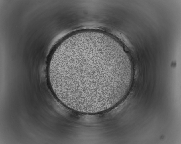 X0000101441164200808041208