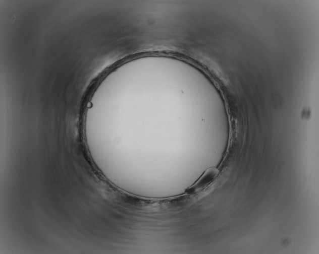 X0000101441165200808041208