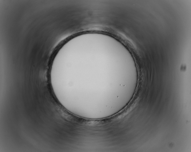 X0000101441166200808041208