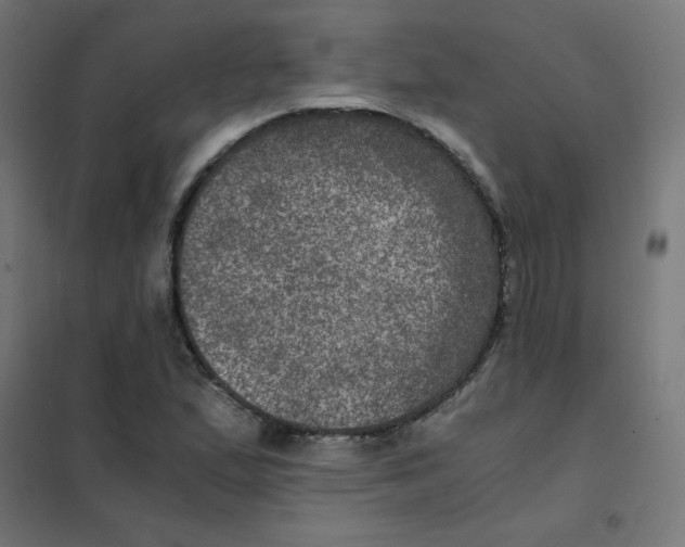 X0000101441167200808041208