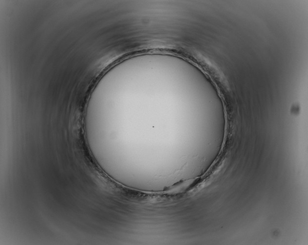 X0000101441169200808041208