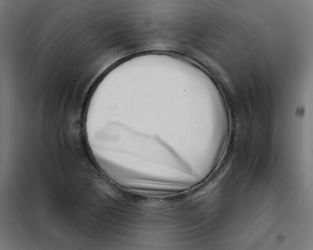 X0000101441170200808041208