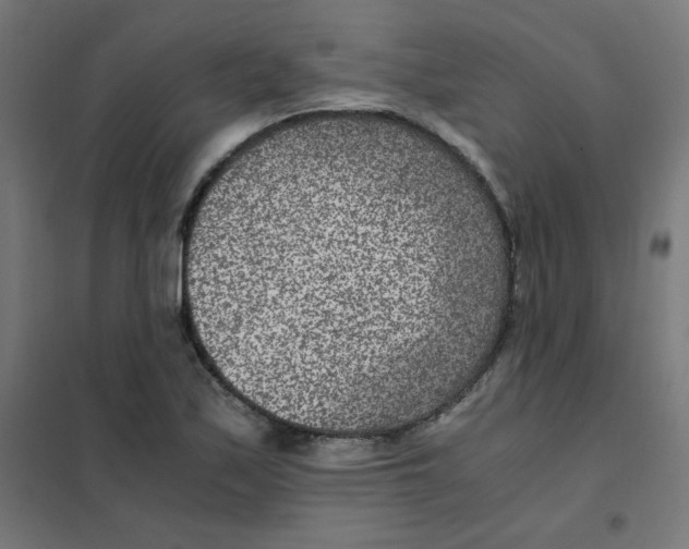 X0000101441171200808041208