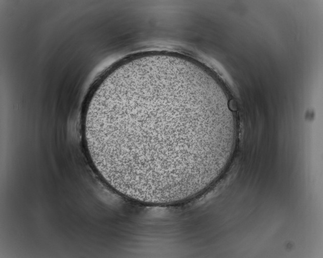 X0000101441172200808041208