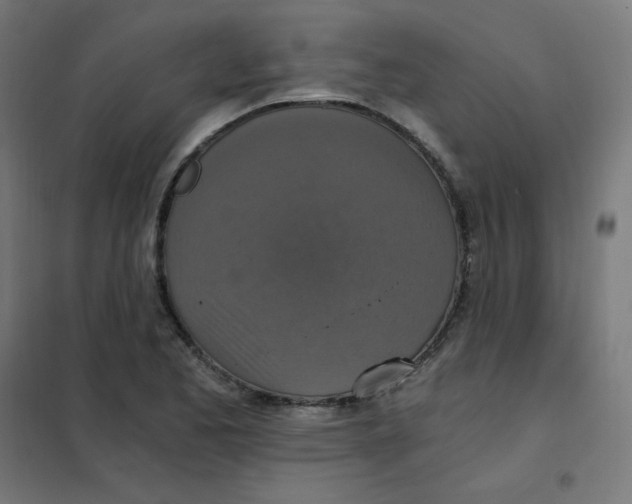 X0000101441173200808041208
