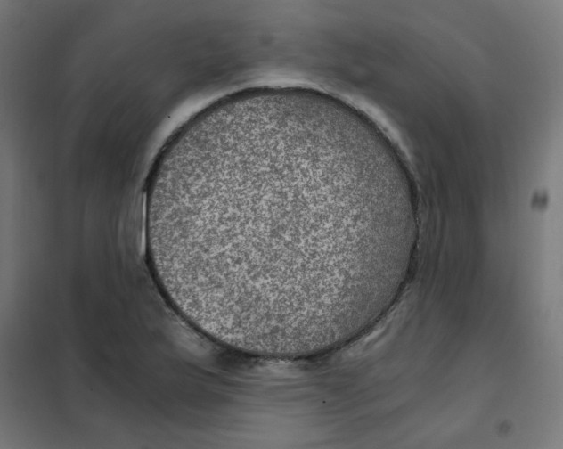 X0000101441175200808041208