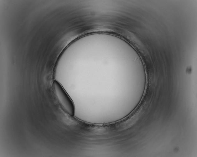 X0000101441177200808041208