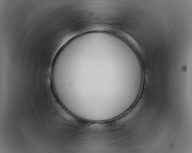 X0000101441178200808041208